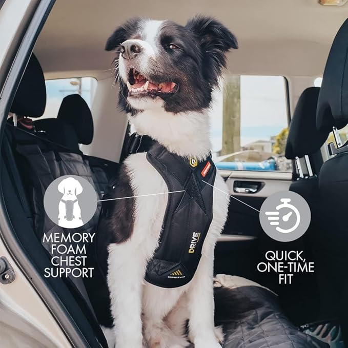EzyDog Drive Dog Car Harness – Crash Tested and Certified (US-FMVSS 213) Dog Seat Belt Harness for Safe Travel, Adjustable with Padded Comfort (Large)